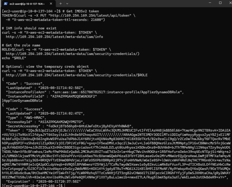 Verify IAM Role Attachment